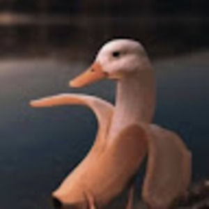 Meet your Posher, Roberto